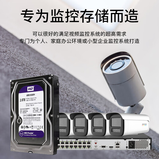 Hikvision WD Western Digital Monitoring Festplatte 12346TB Überwachung der Festplattenüberwachung Zubehör Festplatte Rekorder 4TB [Western Digital/Seagate Zufallsschifffahrt]