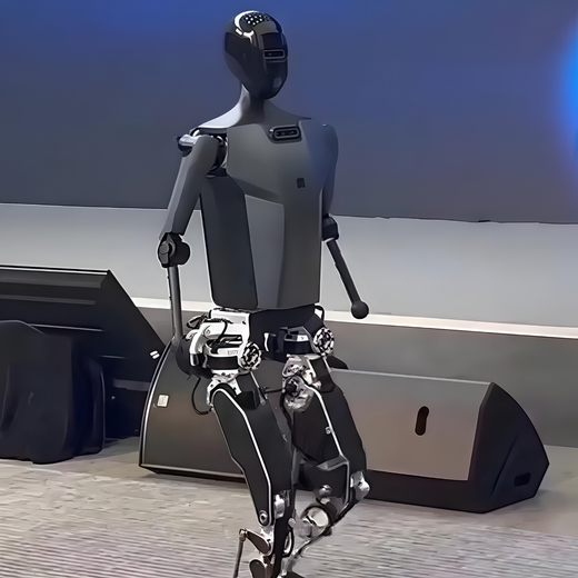 Fräulein Dolphin Roboter Nanny Artificial Intelligence AI Education Research Humanoid Robot College Experimentelle Lehrschulausstellung Hall Eröffnung Marketing Performance Tanze Begrüßungsverleih für Rent Voice and Vision Expansion Edition [Support Secondary Development]