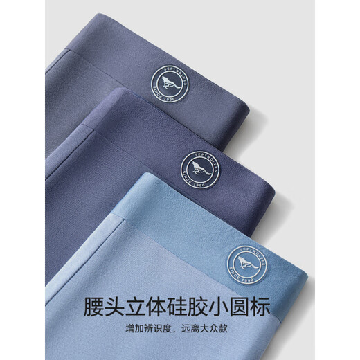 Septwolves Men's Ice Silk Boxer Underwear Graphène Baspighable and Markless Boxer Pantal