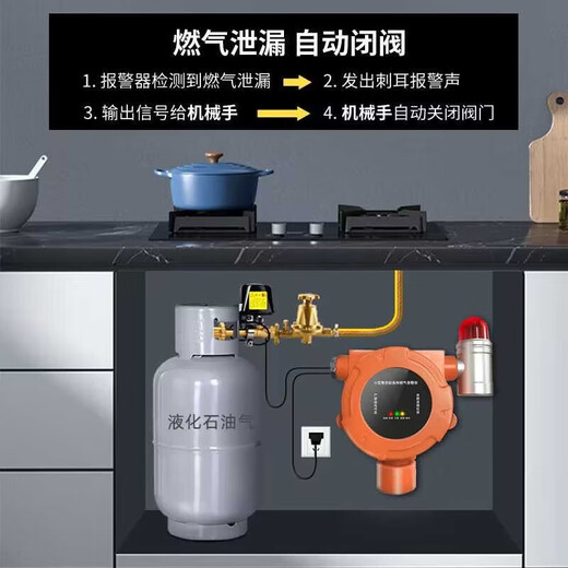 立可安 立可安科技可燃气体泄漏探测器报警器带自动切断阀工商业防爆餐饮饭店可家用 719防爆燃气报警器+2有线切断阀