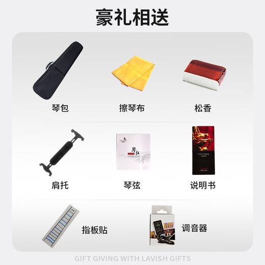 相思鸟 实木小提琴表演考级练习4/4自然风干西洋乐器松香随行三角硬盒