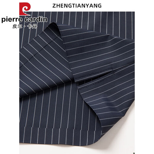 皮尔卡丹（pierre cardin）夏季翻领无痕短袖T恤男士竖条纹休闲polo衫男装潮流薄款冰丝半袖 兰色 6996 M 165