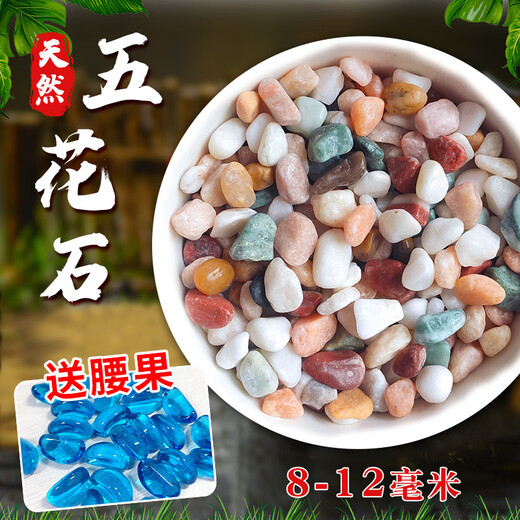 Runhuanian Pure Rain Flower Stone Potted Succulent Pavement Stone Small Multicolored Stone Fish Tank Pavement Ornamental Stone Colorful Small Stone Multicolored Stone 8-12mm 1Jin Jin is equal to 0.5 kg. Pack a