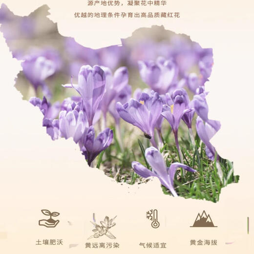 Baozhilin Saffron Iranien Iranien Boîte-cadeau safran non spécial pour les cadeaux Treat dans la santé de l'eau Hong Kong Kong Baozhilin Saffron 3G * 1 Boîte