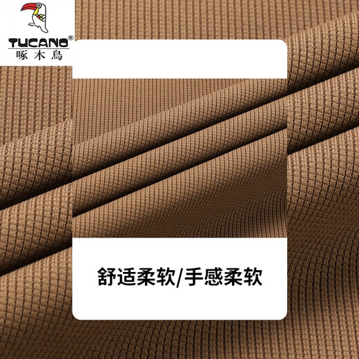 啄木鸟男士长袖Polo衫2025新款春秋季高弹无痕冰感大码T恤爸爸打底衫 A16823浅绿 L 120-135斤穿