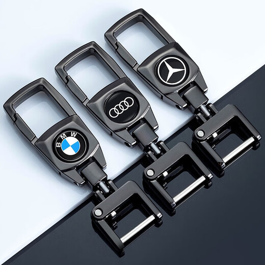 Suitable for BMW, Mercedes-Benz, Audi, Volkswagen, Honda, Toyota, Buick, Haval, Ford, Automobile Home Waist Metal Keychain, Silver Metal Buckle [Giveaway Number Plate + Braided Rope] BMW