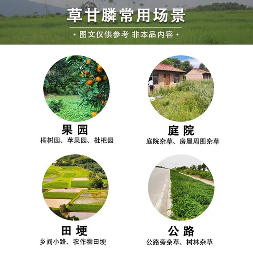 Glyphosate weed killer and root rot agent, powerful herbicide for removing weeds in orchards, wasteland, highways and railways, non-cultivated land, 12kg, a full box