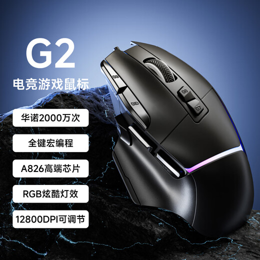 前行者G2有线鼠标电竞游戏宏编程轻量化右手人体工学类大厂模具1k回报率超低延迟芯片主控电脑笔记本专用 暗夜黑有线RGB【12800DPI+1k回报+宏】 12800DPI-畅爽游戏-1000回报率