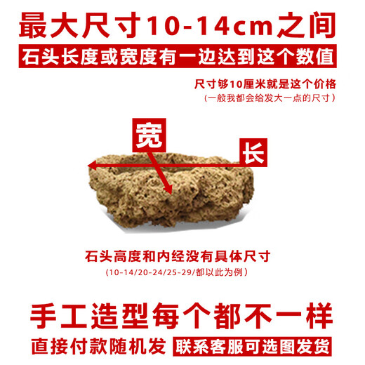 Stone flowerpot absorbs water, water-stained stone, original stone, natural flowerpot with asparagus, bamboo, calamus, succulent plant micro-landscape pot, 13-17cm stone pot + golden calamus package 2