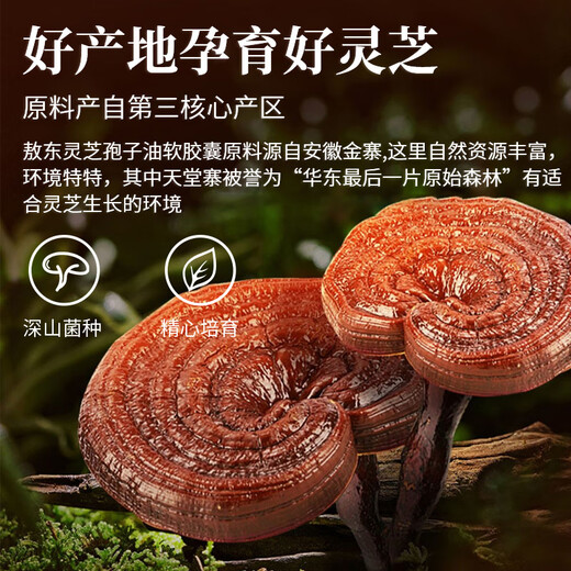 敖东灵芝孢子油软胶囊30g*3瓶 孢子粉萃取 中老年人营养品保健品补品