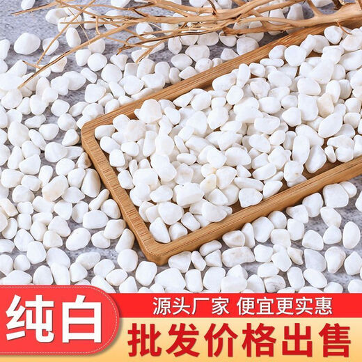 Runhuanian multi-succulent pavement stone flower cultivation small white pebbles pebbles rain flower stone fish tank landscaping potted courtyard paving 5Jin Jin is equal to 0.5kg fine snowflake white 1-3mm 1 capsule trial pack