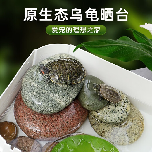 Runhuanian turtle basking platform stone climbing platform flat pebble turtle tank floating island basking stone fish tank 2 pieces 9-12cm