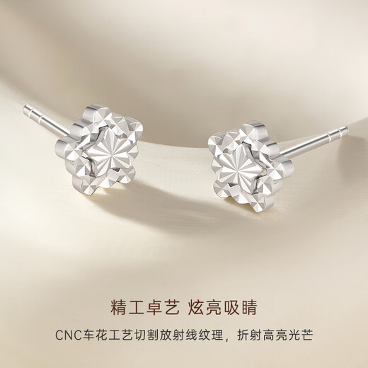 CRD Ke Laidi Spot Sparkling Five-Pointed Star Earrings Women's Platinum Simple Star Earrings Gift Platinum Earrings 1.85g-Star Earrings