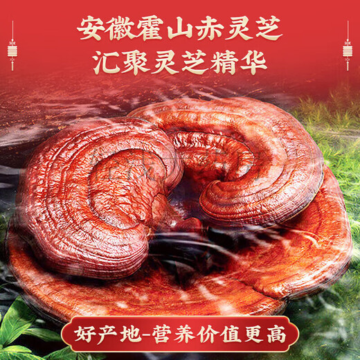 北京同仁堂破壁灵芝孢子粉礼盒霍山赤灵芝有机孢子粉送长辈200g 新年好礼灵芝党参西洋参