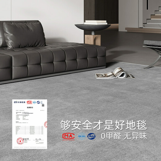 Jingyan Boutique Carpet Living Room 2024 Новое легкое роскошное одеяло на диван без стирки, выявленное сгущенное сплошное цветовое покрытие.
