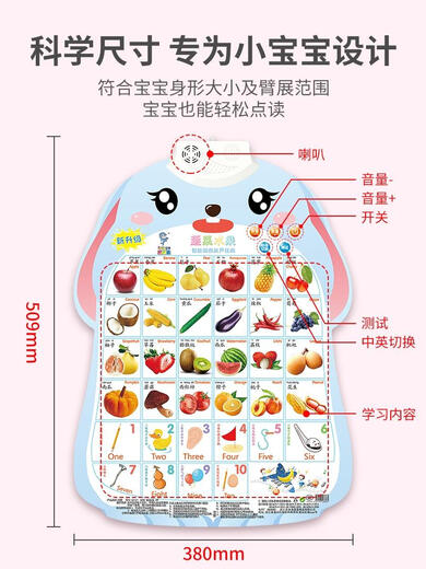 玄永宝宝有声挂图婴幼儿童发声早教识字拼音学习神器字母表墙贴玩 学拼音