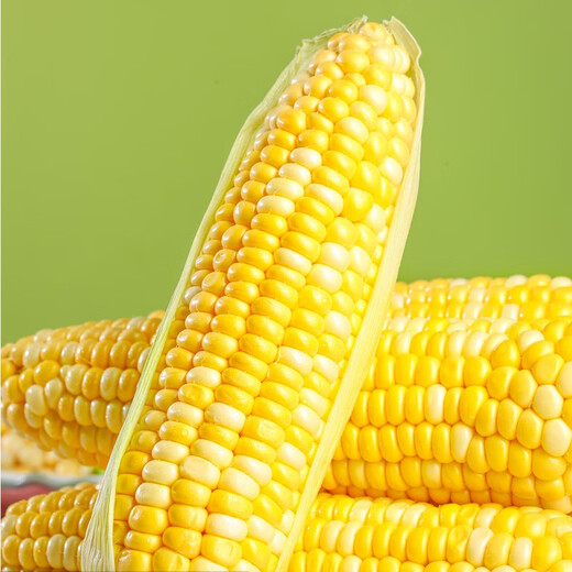 Beijing fresh Yunnan fruit corn 5Jin Jin is equal to 0.5kg, fresh sweet corn on the cob, sweet, crisp and juicy, fresh vegetables, straight from the source