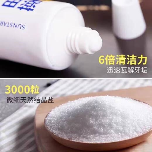 SUNSTAR药用海盐咸味护龈牙膏170g预防牙菌斑缓解出血 日本进口