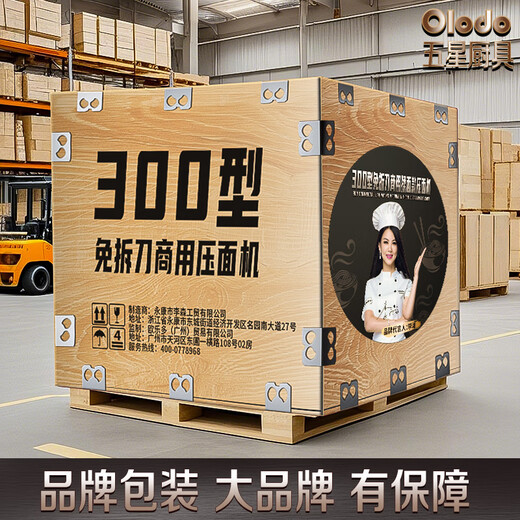欧乐多（Olodo）电动面条机商用大型压面机家用揉面一体机不锈钢全自动饺子擀面机 旗舰级【质保100%】可选配面刀