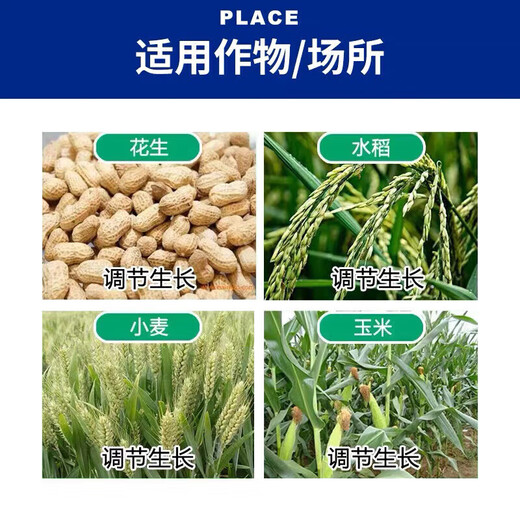 Brassinolide high fast-acting brassinolide rice plant growth regulator auxin water-soluble foliar fertilizer 1000g (full box of 12 bottles)