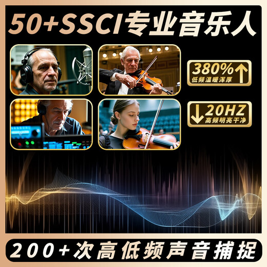 圣维斯SEENWINS1715圣维斯sw100手工小提琴官方初学者成人儿童专业级 LIGHT（亮色工艺） 4/4身高150CM以上及成人