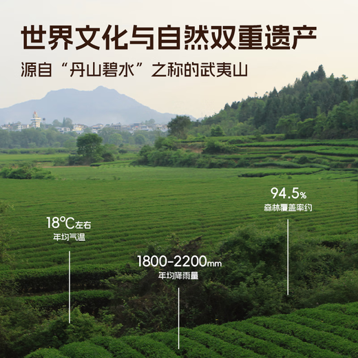 孝文家茶【老客推荐】奇香大红袍 武夷岩茶肉桂水仙 口粮茶乌龙茶叶礼盒 奇香肉桂 149.4g*1盒 （18泡装）