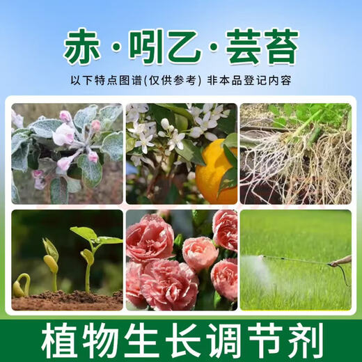 Bihu Indo-Brassica vegetable, flower and fruit tree antidote for plant growth regulator Chi-Indo Brassica 50g*1 bag 3g