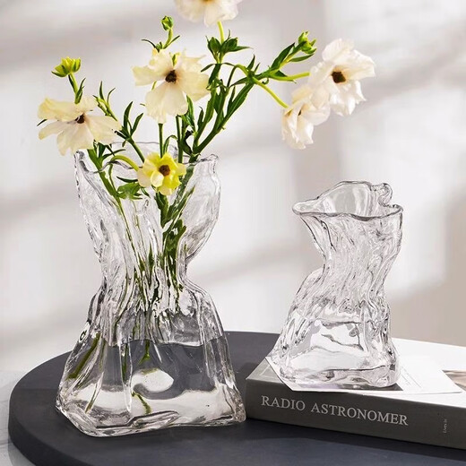 Fan Ye's high-end glass vase transparent water-raised flowers living room dried flowers irregular ins style decorative flower arrangement ornaments