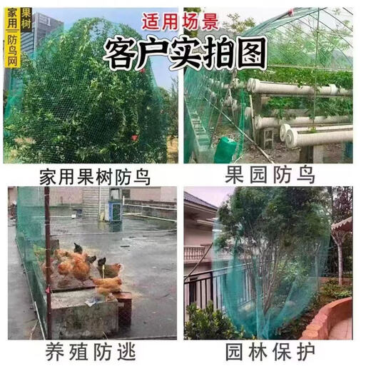 Poultry, aquaculture net, fish net, fence net, sky net, fishing net, multifunctional net, orchard anti-bird net, chicken net, 1 meter wide x 10 meters long, anti-aging, knotless net, 0.5 cm mesh