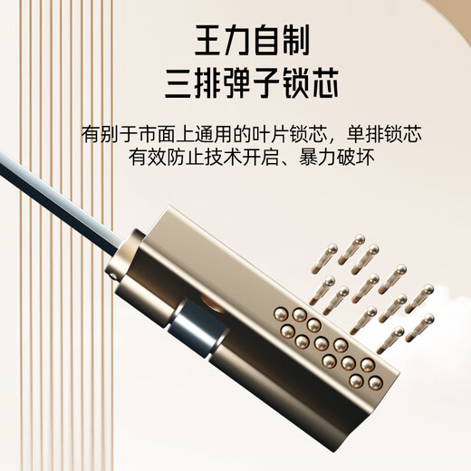 
WL Wangli Level 4 new anti-theft door household entrance door smart mother door single door main door P701 [2.0] fully automatic intelligent lock (P50Lite) single door 2150*1050/2250*950