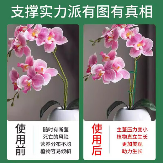 Marco de trepadora de planta Tomate Pepino Phalaenopsis Polo fijo Marque de flores Marco de soporte de flores Polo de soporte anti-bucle [Mothenopsis Especial] Altura 90 cm [5 piezas]