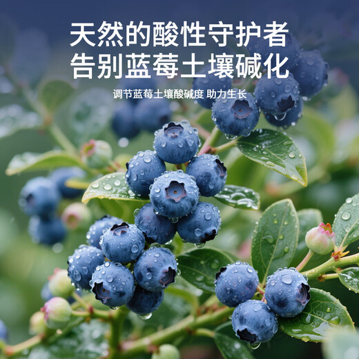 Mu Yunyao special fertilizer for blueberries, citric acid for flowers, special soil acidifier for acid-loving plants, flower preservation and fruit-promoting sulfuric acid, special citric acid for blueberries 500g*4 cans
