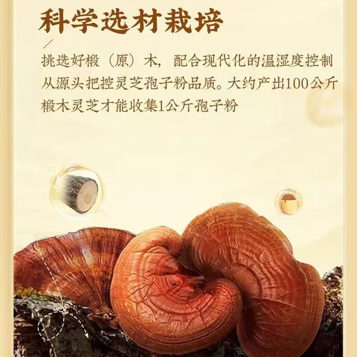 北京同仁堂 破壁灵芝孢子粉 提高免疫力 高质三菇健康滋补营养品送礼礼品 2盒/60袋【送礼袋】