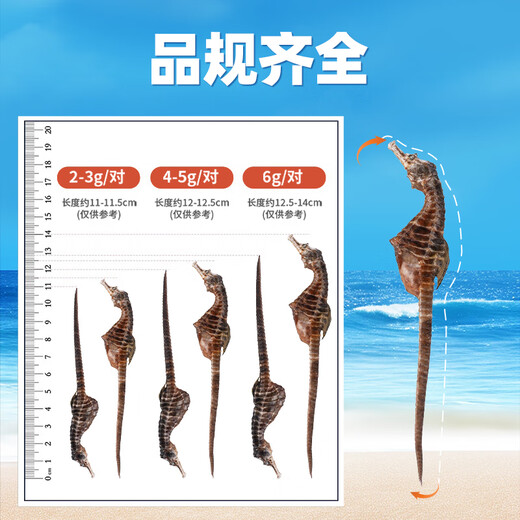 华瑞天丞海马药材【CAWC认证】一对干货精制温肾男性滋补营养组合泡酒药材 【膨腹海马】约2g/袋-公母配对