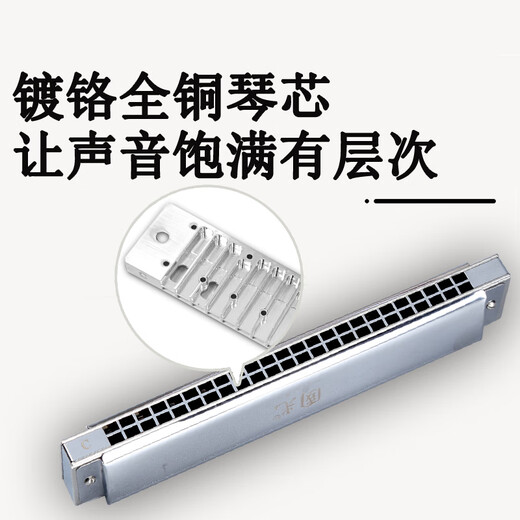 Guoguang 24-Loch-Sammlerversion importiert Gong Polyphonic Mundhomonica (Silber, Kupfer Zither Grid, künstliche Lederbox)