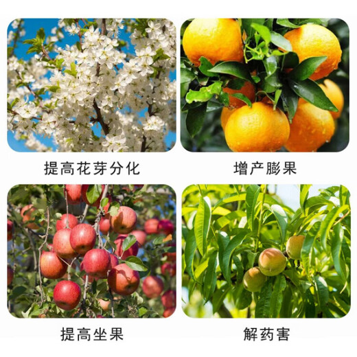 Lomon Fusheng gibberellin 920 plant growth regulator erythrase acid gibberellic acid fruit tree tea germination and flower and fruit preservation solution 1000ml