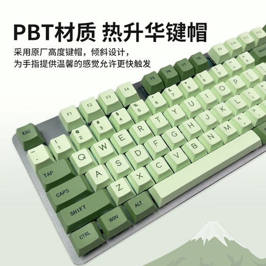 罗技（Logitech）【富士晴雪绿】K845机械键盘 游戏键盘 办公键盘全尺寸办公家用背光电竞吃鸡键盘 K845-红轴-富士晴雪绿+G102有线鼠标白
