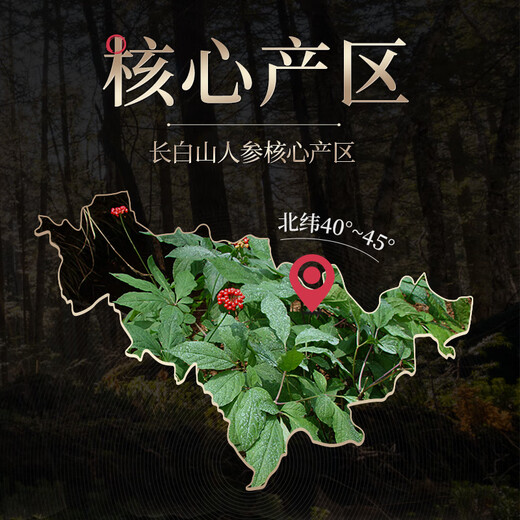 长白山人参约20年林下参约2指芦（残参整箱）30克*15盒装煲汤泡酒材料野山参