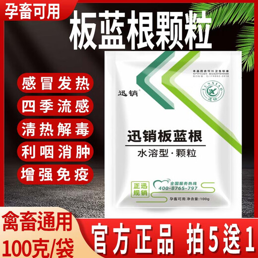 Fast selling veterinary isatis granules pig, beef, sheep, chicken, duck and goose feed additive for clearing away heat, detoxifying, cold, fever, reducing swelling and soothing throat, 10 packs, get 2 packs free (12 packs for real delivery)