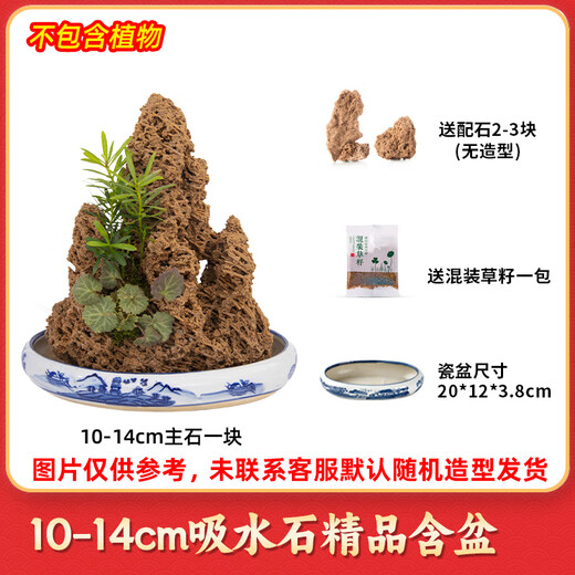 High-quality water-absorbing stone bonsai fish pond rockery micro-landscape decoration natural rockery stone landscaping raw stone high-quality 10-14cm water-absorbing stone with basin