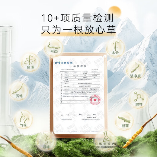 东阳光冬虫夏草3-4根/g10根滋补礼盒冬虫草营养品补品送长辈端午节礼物