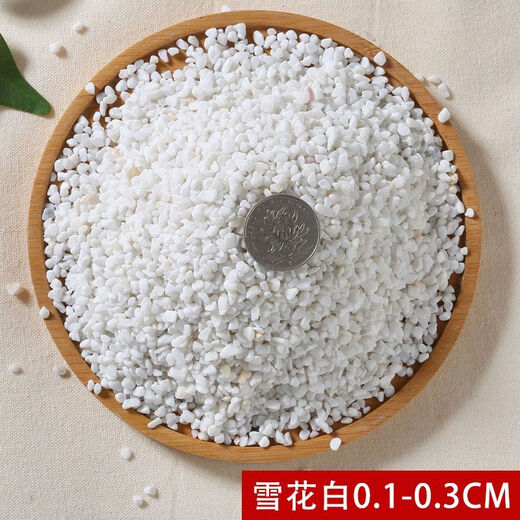 Runhuanian multi-succulent pavement stone flower cultivation small white pebbles pebbles rain flower stone fish tank landscaping potted courtyard paving 5Jin Jin is equal to 0.5kg fine snowflake white 1-3mm 1 capsule trial pack