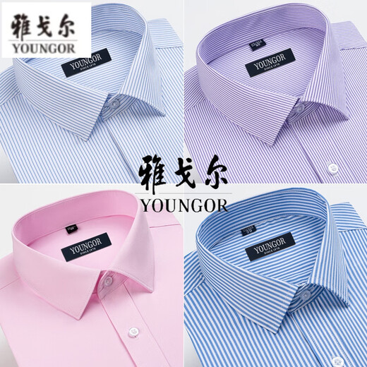 
CEO Yageol Long Sleeve Shirt Men's 2025 New Pure Cotton No-Iron Middle-aged Casual High-end Professional Shirt 6623 38 (Suggested 100-115Jin [Jin equals 0.5 kg])