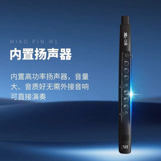 Miaopin M1 Hair Tube [offiziell] Musikinstrument 2025 Neues Hausinstrument Saxophon Flötenflöten M1 Black + Lehrbuch