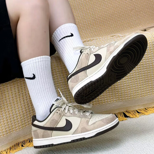 耐克（NIKE）【潮】男鞋女鞋Dunk Low Retro低帮复古防滑耐磨轻便透气休闲板鞋 DD1391-700 36