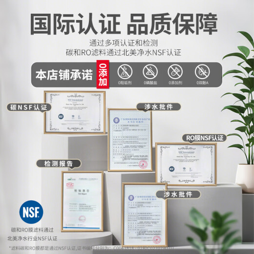 洁净世家适用飞利浦家用净水器双鱼座系列滤芯PPC复合RO反渗透T33后置 T33滤芯适配【AUT724系列】