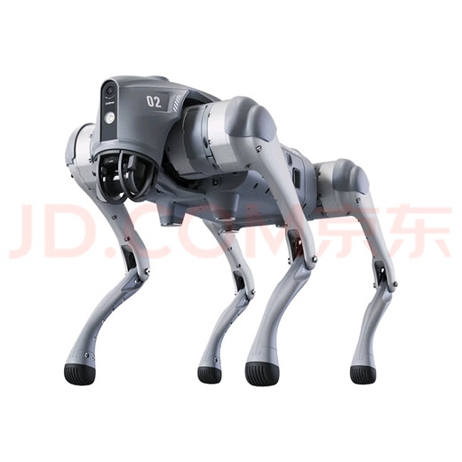 Location Yushu GO2, chien robot à quatre pattes, location personnalisée, air go2