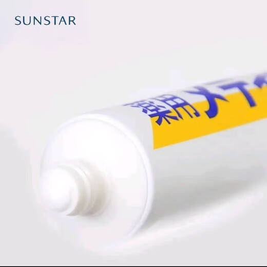 SUNSTAR药用海盐咸味护龈牙膏170g预防牙菌斑缓解出血 日本进口