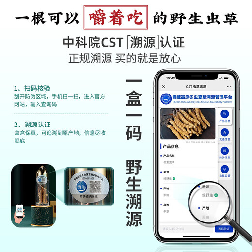 Guokuntang [wild zurückverfolgbar] Wild Cordyceps sinensis, neuer getrockneter Cordyceps in Nagqu, Tibet, ungefähr 6 Stück pro Gramm [5 Gramm Superwert -Geschenkbox]