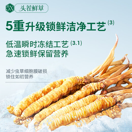 Ayishe Fresh First Cordyceps 0,7 à 0,8 g / 50 Corcons de sucre sucre à sucre sucre sucre sucre sucre sucre sucre sucre sucre sucre sucre sucre sucre sucre Sucre sucre sucre sucre sucre sucre sucre sucre sucre sucre sucre sucre sucre sucre sucre sucre